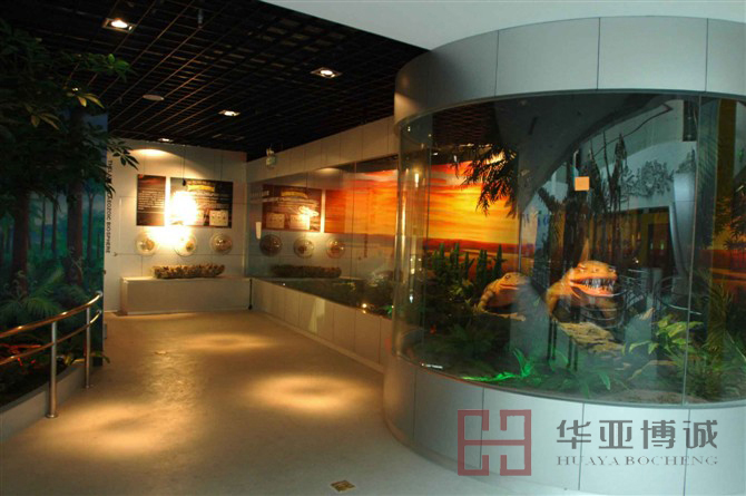 武汉地质博物馆